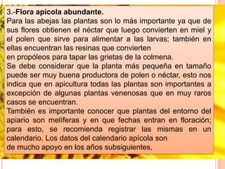 3.-Flora apícola abundante.
Para las abejas las plantas son lo más importante ya que de
sus flores obtienen el néctar que luego convierten en miel y
el polen que sirve para alimentar a las larvas; también en
ellas encuentran las resinas que convierten
en propóleos para tapar las grietas de la colmena.
Se debe considerar que la planta más pequeña en tamaño
puede ser muy buena productora de polen o néctar, esto nos
indica que en apicultura todas las plantas son importantes a
excepción de algunas plantas venenosas que en muy raros
casos se encuentran.
También es importante conocer que plantas del entorno del
apiario son melíferas y en que fechas entran en floración;
para esto, se recomienda registrar las mismas en un
calendario. Los datos del calendario apícola son
de mucho apoyo en los años subsiguientes,
 