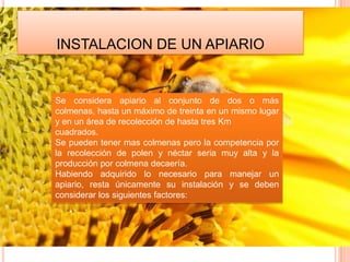 INSTALACION DE UN APIARIO
Se considera apiario al conjunto de dos o más
colmenas, hasta un máximo de treinta en un mismo lugar
y en un área de recolección de hasta tres Km
cuadrados.
Se pueden tener mas colmenas pero la competencia por
la recolección de polen y néctar seria muy alta y la
producción por colmena decaería.
Habiendo adquirido lo necesario para manejar un
apiario, resta únicamente su instalación y se deben
considerar los siguientes factores:
 