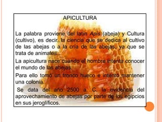 APICULTURA
La palabra proviene del latín Apis (abeja) y Cultura
(cultivo), es decir, la ciencia que se dedica al cultivo
de las abejas o a la cría de las abejas, ya que se
trata de animales.
La apicultura nace cuando el hombre intenta conocer
el mundo de las abejas.
Para ello tomó un tronco hueco e intentó mantener
una colonia.
Se data del año 2500 a. C. la evidencia del
aprovechamiento de abejas por parte de los egipcios
en sus jeroglíficos.
 