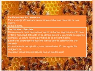 La distancia entre colmenas
Para la abeja africanizada se considera viable una distancia de dos
metros
como mínimo.
Los bancos o burritos
Cada colmena debe permanecer sobre un banco, soporte o burrito para
evitar la humedad del suelo en la cámara de cría y la entrada de algunos
animales. La altura mínima permitida es de 50 centímetros.
Existe una diversidad de tipos de bancos pero la selección de uno
depende
exclusivamente del apicultor y sus necesidades. En las siguientes
imágenes se
muestran varios tipos de bancos que se pueden usar
 
