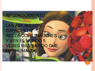 RECONOCIMIENTO
LAS ABEJAS SON
CAPACES DE
RECONOCER IMÁGENES
Y VEN EL MUNDO 5
VESES MAS RAPIDO QUE
LOS HUMANOS
 