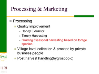 IPMS experience sharing workshop: Apiculture group report