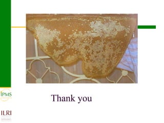 IPMS experience sharing workshop: Apiculture group report