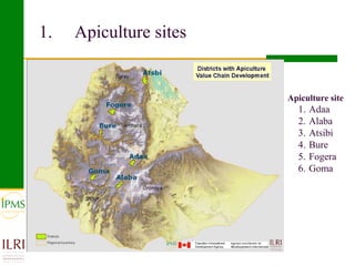 Apiculture value chain development based on experiences of IPMS and partners 