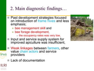 Apiculture value chain development based on experiences of IPMS and partners 