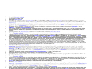 •
•
•
•
•
•
•
•
•
•
•

•

•
•

•
•
•
•
•
•
•
•
•
•

Varroa mites[edit source | editbeta]
Varroa mite on a honey bee larva
Main article: Varroa destructor
Varroa destructor and Varroa jacobsoni are parasitic mites that feed on the bodily fluids of adult, pupal and larval bees. Varroa mites can be seen with the naked eye as a small red or
brown spot on the bee's thorax. Varroa mites are carriers for a virus that is particularly damaging to the bees. Bees infected with this virus during their development will often have visibly
deformed wings.
Varroa mites have led to the virtual elimination of feral bee colonies in many areas, and are a major problem for kept bees in apiaries. Some feral populations are now recovering—it
appears they have been naturally selected for Varroa resistance.
Varroa mites were first discovered in Southeast Asia in about 1904, but are now present on all continents except Australia. They were discovered in the United States in 1987, in
New Zealand in 2000, and in Devon, United Kingdom in 1992.
These mites are generally not a problem for a strongly growing hive. When the hive population growth is reduced in preparation for winter or due to poor late summer forage, the mite
population growth can overtake that of the bees and can then destroy the hive. Often a colony will simply abscond (leave as in a swarm, but leaving no population behind) under such
conditions.
Varroa in combination with deformed wing virus and bacteria have been theoretically implicated in colony collapse disorder.
Treatment[edit source | editbeta]
A variety of treatments are currently marketed or practiced to attempt to control these mites. The treatments are generally segregated into chemical and mechanical controls.
Common chemical controls include "hard" chemicals such as fluvalinate (marketed as Apistan) and coumaphos (marketed as CheckMite) and "soft" chemicals such as thymol (marketed as
ApiLife-VAR and Apiguard), sucrose octanoate esters (marketed as Sucrocide), oxalic acid and formic acid (sold in gel packs as Mite-Away,[1] but also used in other formulations). According
to the U.S. Environmental Protection Agency, when used in beehives as directed, these treatments kill a large proportion of the mites while not substantially disrupting bee behavior or life
span. Use of chemical controls is generally regulated and varies from country to country. With few exceptions, they are not intended for use during production of marketable honey. [2]
Common mechanical controls generally rely on disruption of some aspect of the mites' lifecycle. These controls are generally intended not to eliminate all mites, but merely to maintain
the infestation at a level which the colony can tolerate. Examples of mechanical controls include drone brood sacrifice (varroa mites are preferentially attracted to the drone brood),
powdered sugar dusting (which encourages cleaning behavior and dislodges some mites), screened bottom boards (so any dislodged mites fall through the bottom and away from the
colony), brood interruption and, perhaps, downsizing of the brood cell size. A device called the varroa mite control entrance (VMCE) is under development as of 2008. The VMCE works in
conjunction with a screened bottom board, by dislodging varroa mites from bees as they enter and exit a hive.[3]
Acarine (Tracheal) mites[edit source | editbeta]
Acarapis woodi is a small parasitic mite that infests the airways of the honey bee. The first known infestation of the mites occurred in the British Isles in the early 20th century. First
observed on the Isle of Wight in 1904, the mystery illness known as Isle of Wight Disease was not identified as being caused by a parasite until 1921. It quickly spread to the rest of
Great Britain. It was regarded as having wiped out the entire native bee population of the British Isles (although later genetic studies have found remnants that did survive) and it dealt a
devastating blow to British beekeeping. Brother Adam at the Buckfast Abbey developed a resistant hybrid bee known as the Buckfast bee, which is now available worldwide to combat
acarine disease.
Diagnosis for tracheal mites generally involves the dissection and microscopic examination of a sample of bees from the hive.
Acarine mites, formerly known as tracheal mites are believed to have entered the US in 1984, via Mexico.
Mature female acarine mites leave the bee's airway and climb out on a hair of the bee, where they wait until they can transfer to a young bee. Once on the new bee, they will move into
the airways and begin laying eggs.
Treatment[edit source | editbeta]
Acarine mites are commonly controlled with grease patties (typically made from 1 part vegetable shortening mixed with 3–4 parts powdered sugar) placed on the top bars of the hive. The
bees come to eat the sugar and pick up traces of shortening, which disrupts the mite's ability to identify a young bee. Some of the mites waiting to transfer to a new host will remain on
the original host. Others will transfer to a random bee—a proportion of which will die of other causes before the mite can reproduce.
Menthol, either allowed to vaporize from crystal form or mixed into the grease patties, is also often used to treat acarine mites.
Nosema[edit source | editbeta]
Nosema apis is a microsporidian that invades the intestinal tracts of adult bees and causes nosema disease, also known as nosemosis. Nosema is also associated with Black queen-cell virus
. Nosema is normally only a problem when the bees can not leave the hive to eliminate waste (for example, during an extended cold spell in winter or when the hives are enclosed in a
wintering barn). When the bees are unable to void (cleansing flights), they can develop dysentery.
Nosema is treated by increasing the ventilation through the hive. Some beekeepers will treat a hive with antibiotics.
Nosema can also be prevented or minimized by removing much of the honey from the beehive then feeding the bees on sugar water in the late fall. Sugar water made from refined sugar
has lower ash content than flower nectar, reducing the risk of dysentery. Refined sugar, however, contains fewer nutrients than natural honey[4] which causes some controversy among

 