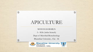 APICULTURE
MOHANASABARI.N
I – M.Sc (indus biotech)
Dept of Microbial Biotechnology
Bharathiar University , Cbe - 46
 