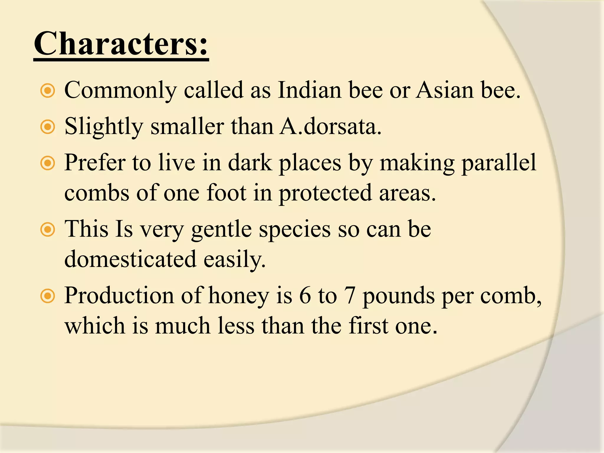 Characters:
 Commonly called as Indian bee or Asian bee.
 Slightly smaller than A.dorsata.
 Prefer to live in dark places by making parallel
combs of one foot in protected areas.
 This Is very gentle species so can be
domesticated easily.
 Production of honey is 6 to 7 pounds per comb,
which is much less than the first one.
 
