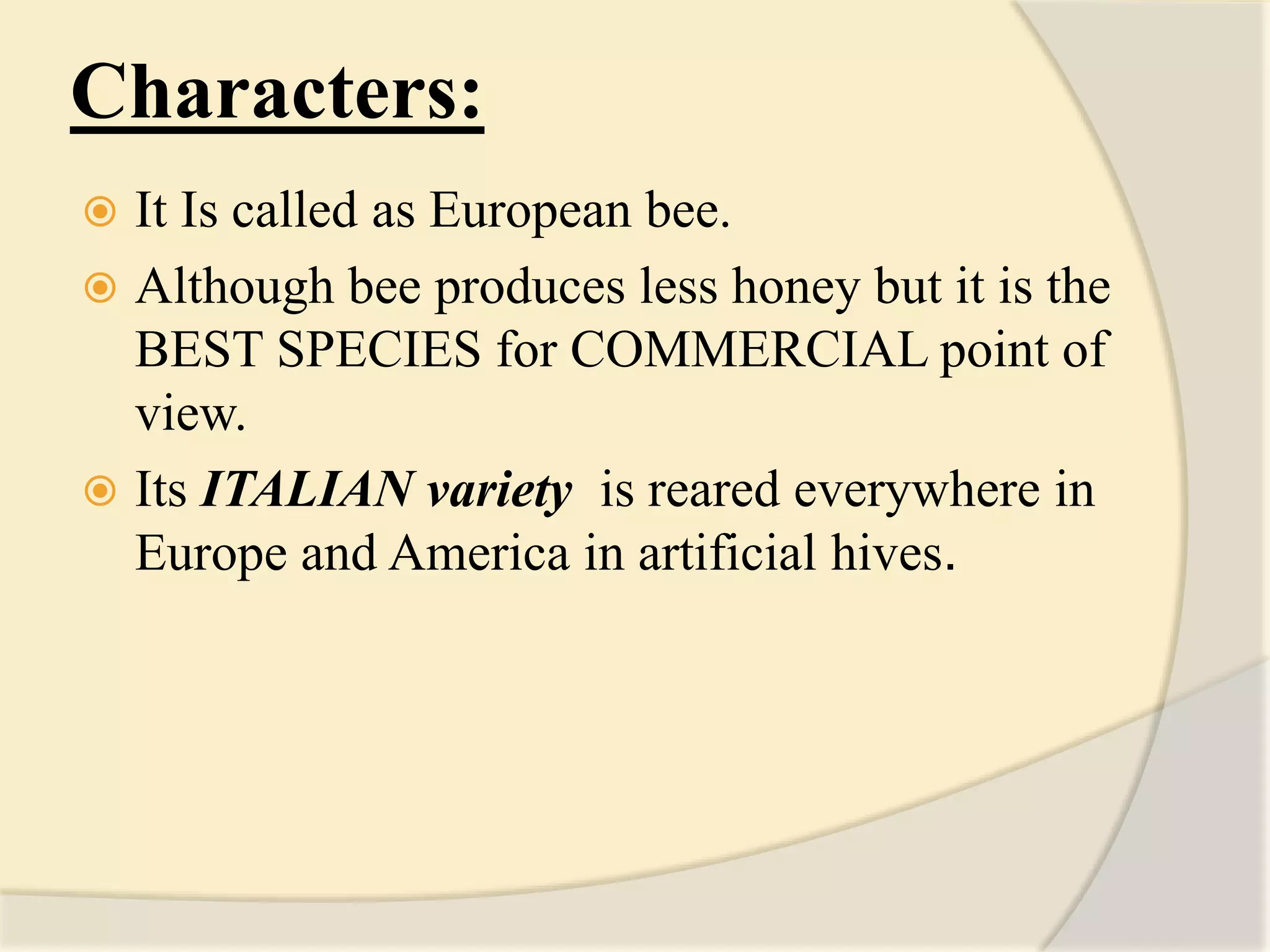 Characters:
 It Is called as European bee.
 Although bee produces less honey but it is the
BEST SPECIES for COMMERCIAL point of
view.
 Its ITALIAN variety is reared everywhere in
Europe and America in artificial hives.
 