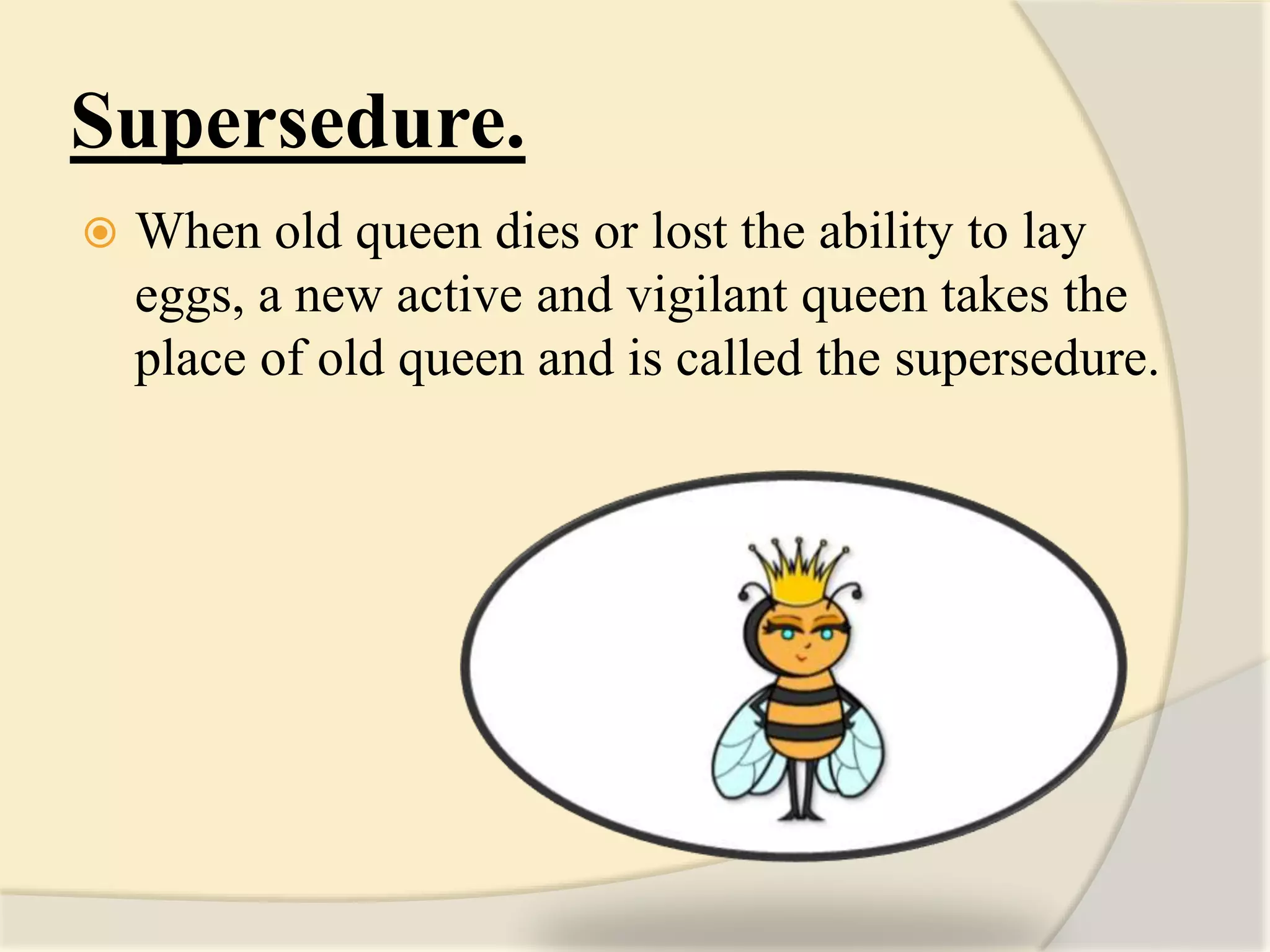 Supersedure.
 When old queen dies or lost the ability to lay
eggs, a new active and vigilant queen takes the
place of old queen and is called the supersedure.
 
