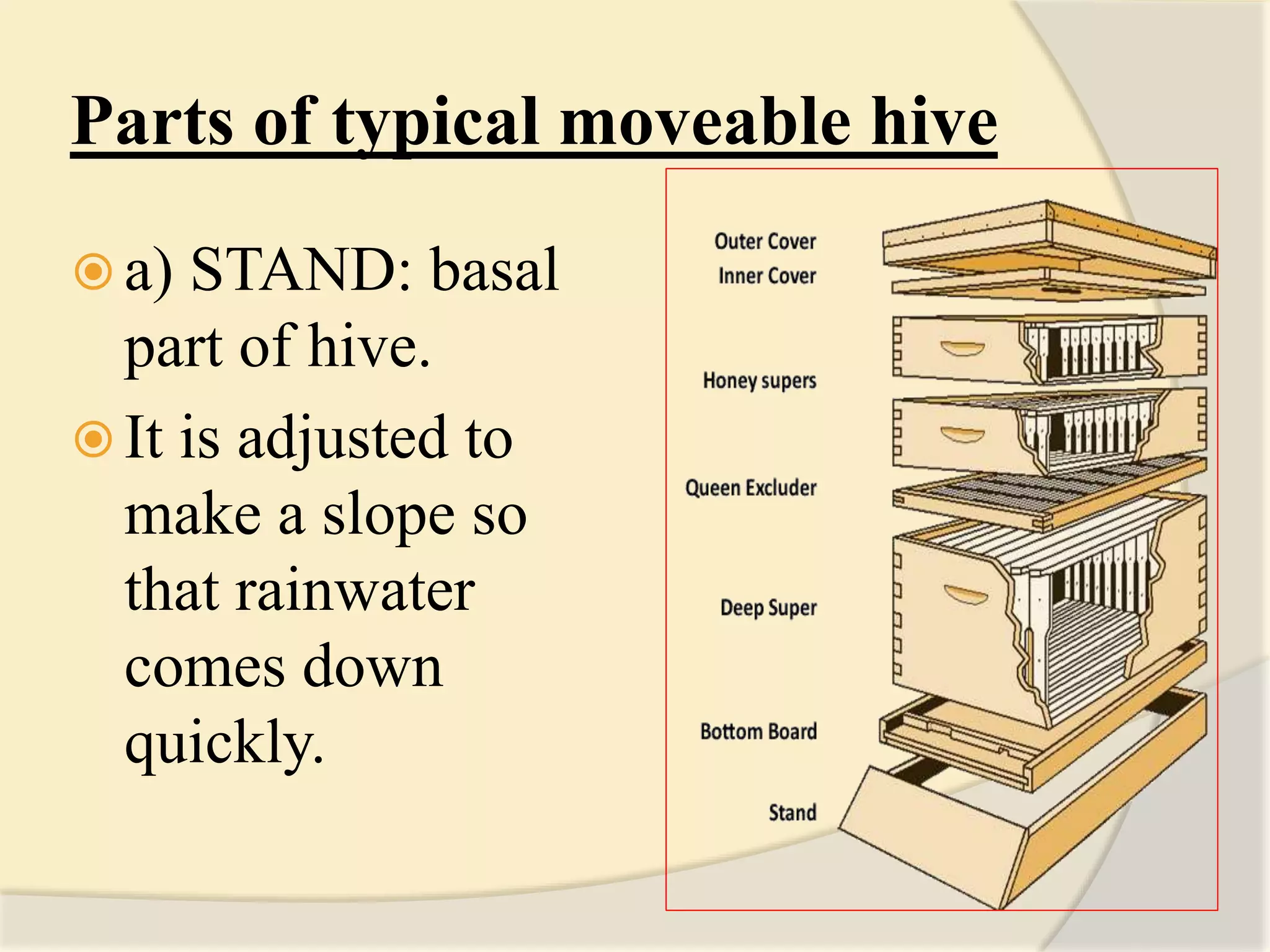 Parts of typical moveable hive
 a) STAND: basal
part of hive.
 It is adjusted to
make a slope so
that rainwater
comes down
quickly.
 