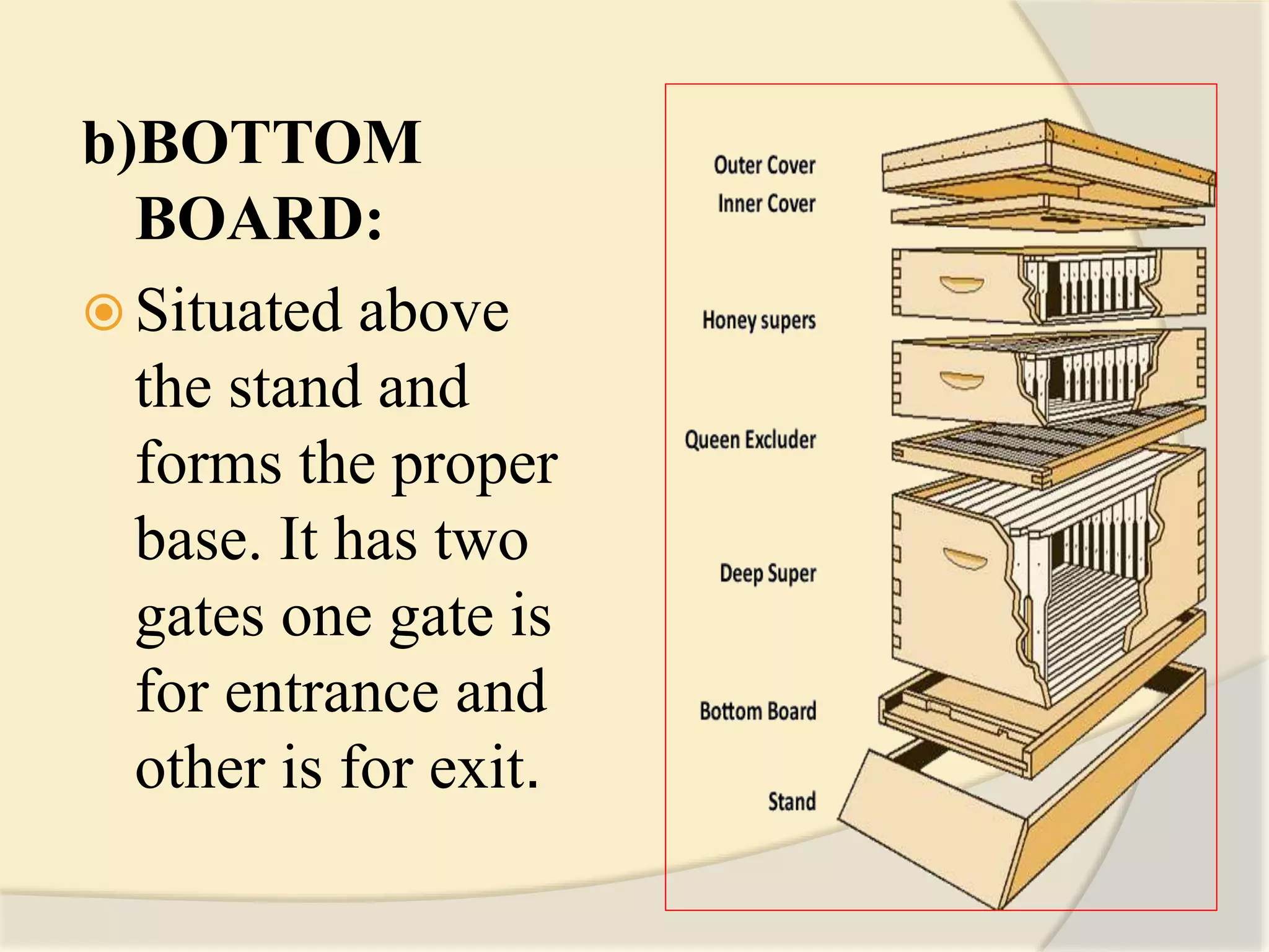 b)BOTTOM
BOARD:
 Situated above
the stand and
forms the proper
base. It has two
gates one gate is
for entrance and
other is for exit.
 