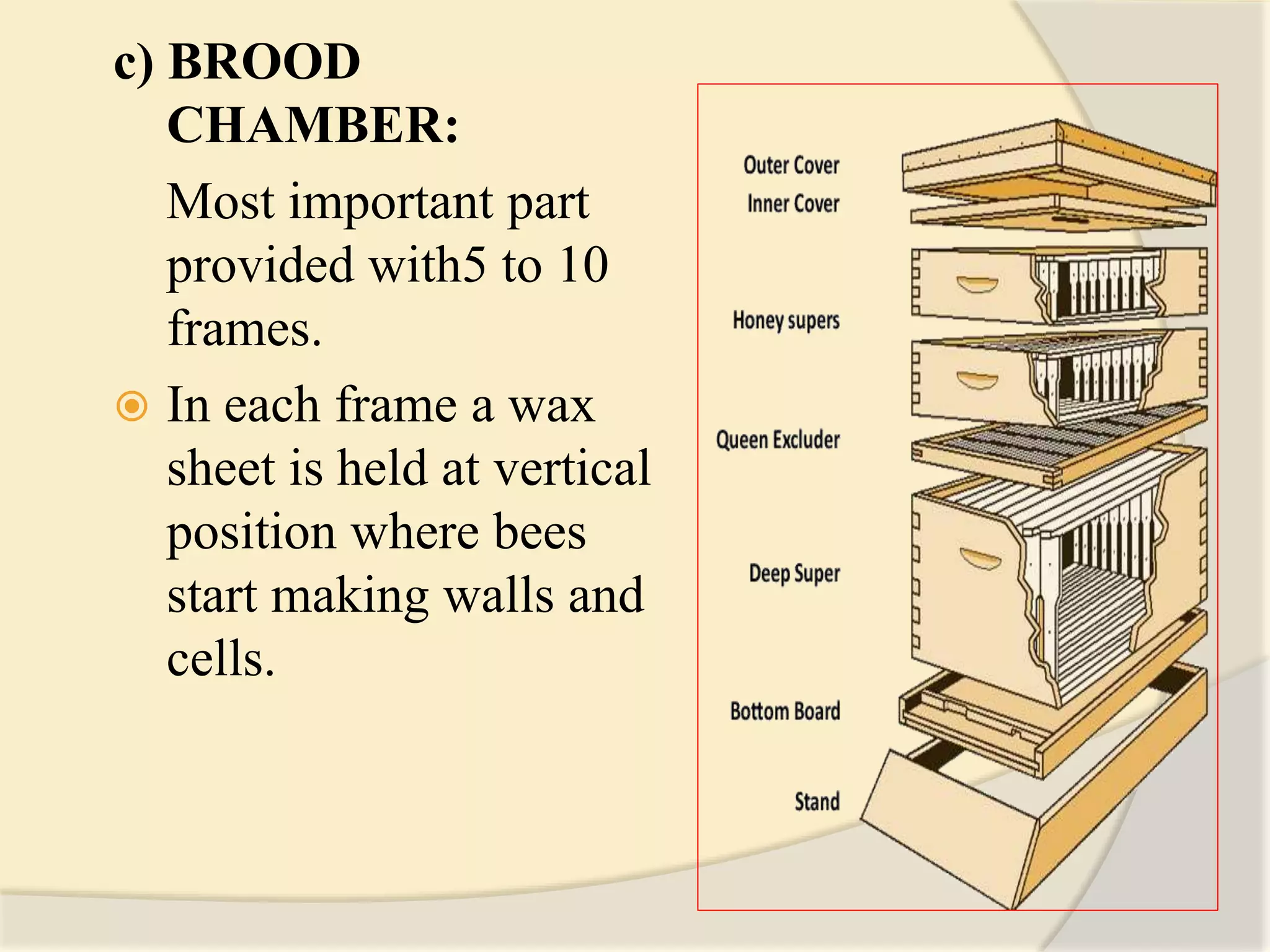 c) BROOD
CHAMBER:
Most important part
provided with5 to 10
frames.
 In each frame a wax
sheet is held at vertical
position where bees
start making walls and
cells.
 