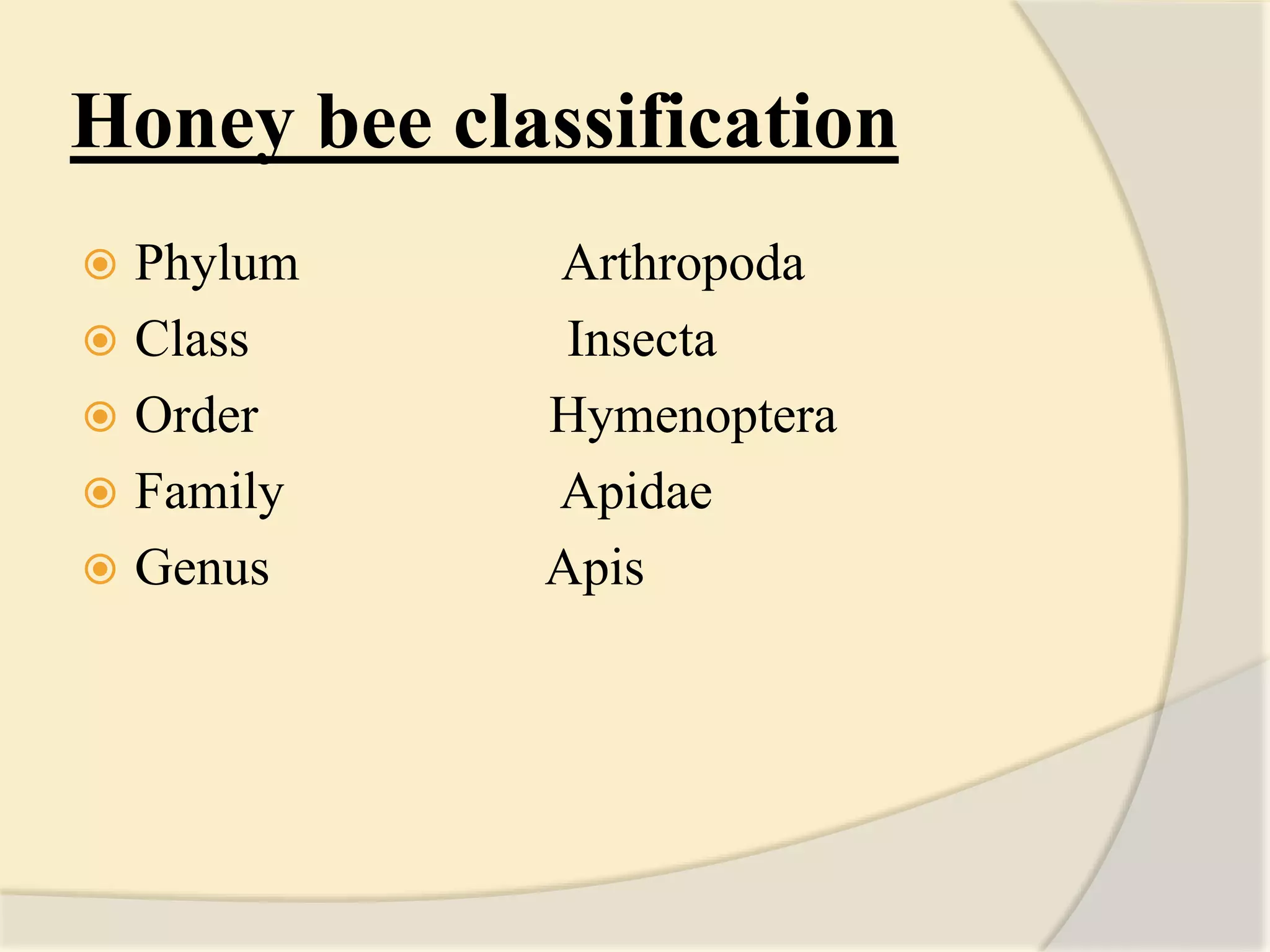 Honey bee classification
 Phylum Arthropoda
 Class Insecta
 Order Hymenoptera
 Family Apidae
 Genus Apis
 