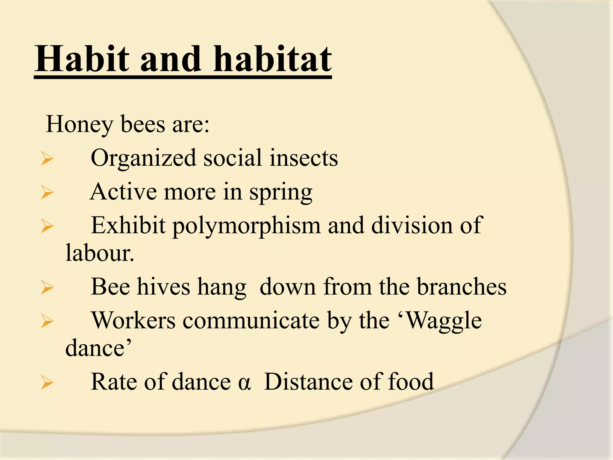 Habit and habitat
Honey bees are:
 Organized social insects
 Active more in spring
 Exhibit polymorphism and division of
labour.
 Bee hives hang down from the branches
 Workers communicate by the ‘Waggle
dance’
 Rate of dance α Distance of food
 