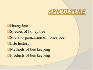Honey bee
Species of honey bee
Social organization of honey bee
Life history
Methods of bee keeping
Products of bee keeping
 
