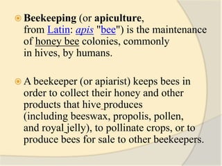 Apiculture: introduction, species types and different methods of ...