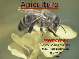 1
PRESENTED BY:
Safeer Ahmad Manhas
M.Sc. (Final) Entomology
16-ZYM-29
Gj5686
 