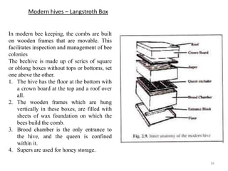 Apiculture | PPTX