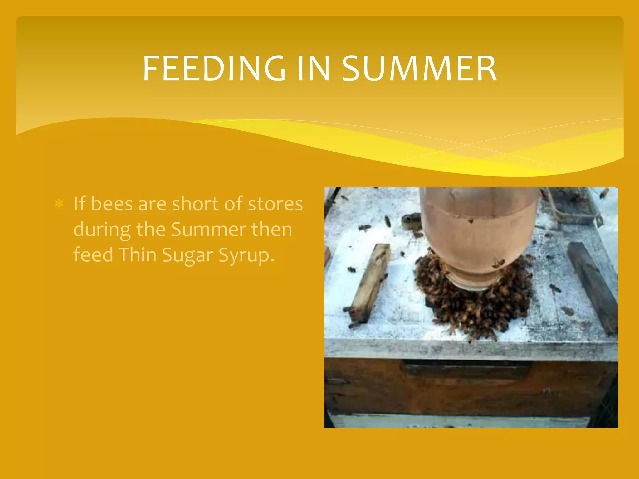 FEEDING IN SUMMER
 If bees are short of stores
during the Summer then
feed Thin Sugar Syrup.
 