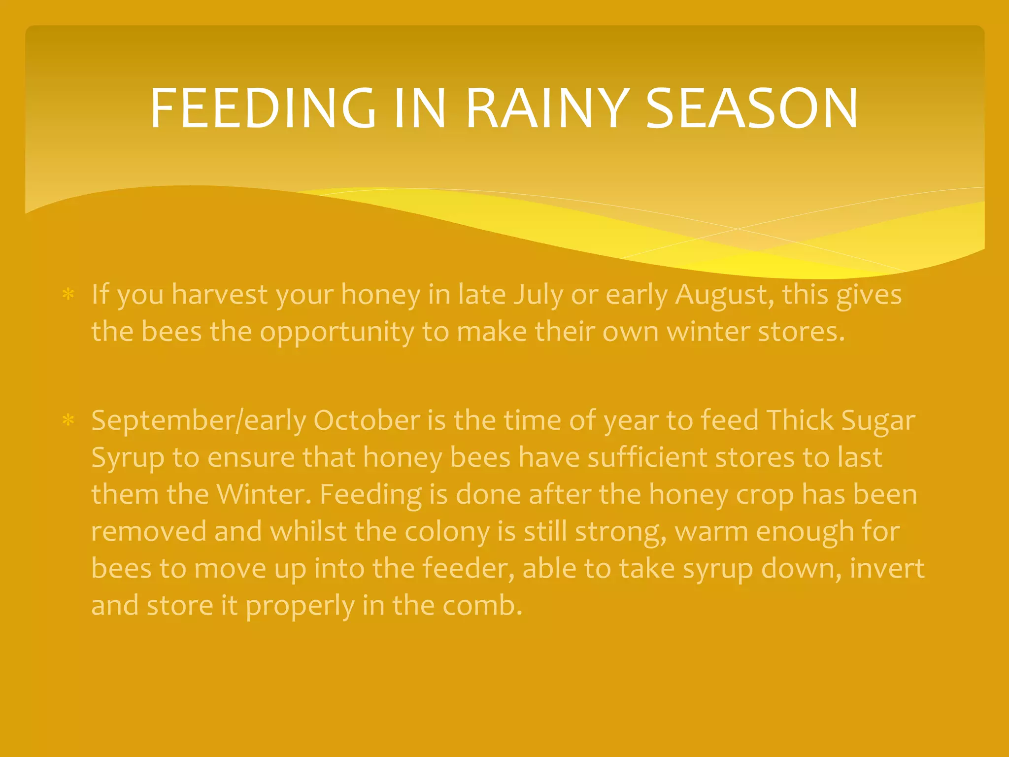 FEEDING IN RAINY SEASON
 If you harvest your honey in late July or early August, this gives
the bees the opportunity to make their own winter stores.
 September/early October is the time of year to feed Thick Sugar
Syrup to ensure that honey bees have sufficient stores to last
them the Winter. Feeding is done after the honey crop has been
removed and whilst the colony is still strong, warm enough for
bees to move up into the feeder, able to take syrup down, invert
and store it properly in the comb.
 