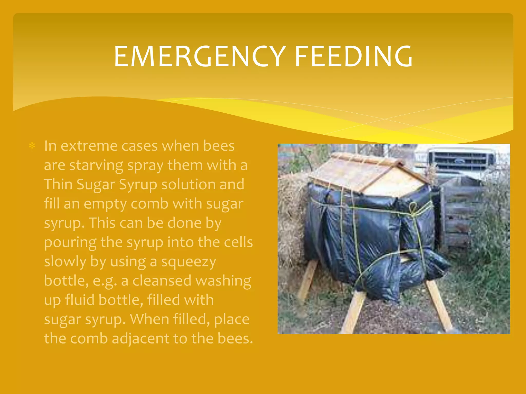 EMERGENCY FEEDING
 In extreme cases when bees
are starving spray them with a
Thin Sugar Syrup solution and
fill an empty comb with sugar
syrup. This can be done by
pouring the syrup into the cells
slowly by using a squeezy
bottle, e.g. a cleansed washing
up fluid bottle, filled with
sugar syrup. When filled, place
the comb adjacent to the bees.
 