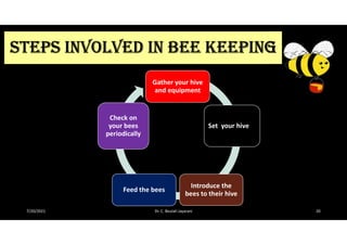 Apiculture | PDF