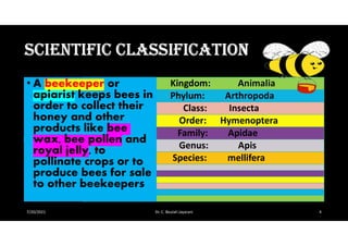 Apiculture | PDF