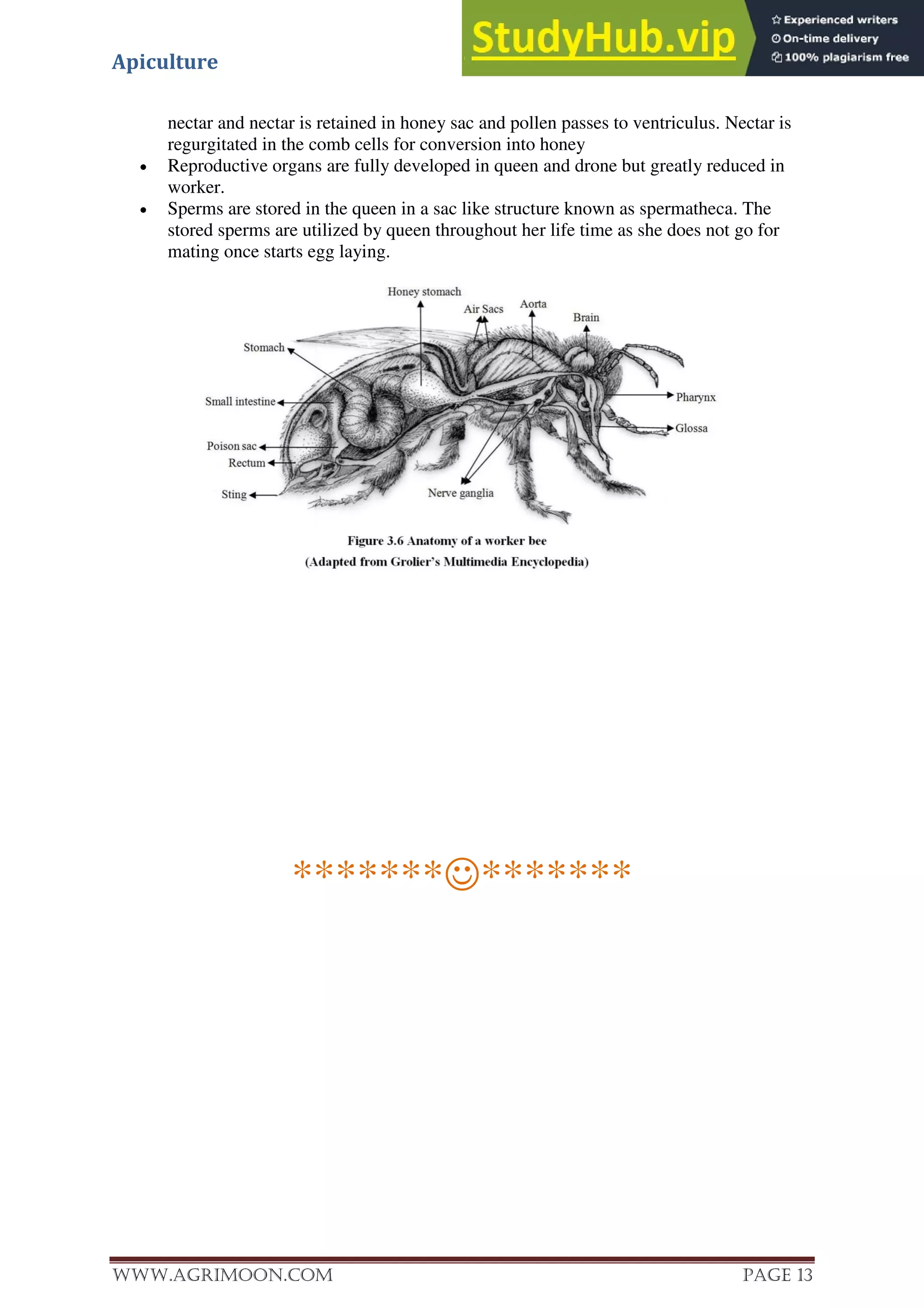 Apiculture
www.Agrimoon.com Page 13
nectar and nectar is retained in honey sac and pollen passes to ventriculus. Nectar is
regurgitated in the comb cells for conversion into honey
 Reproductive organs are fully developed in queen and drone but greatly reduced in
worker.
 Sperms are stored in the queen in a sac like structure known as spermatheca. The
stored sperms are utilized by queen throughout her life time as she does not go for
mating once starts egg laying.
**************
 