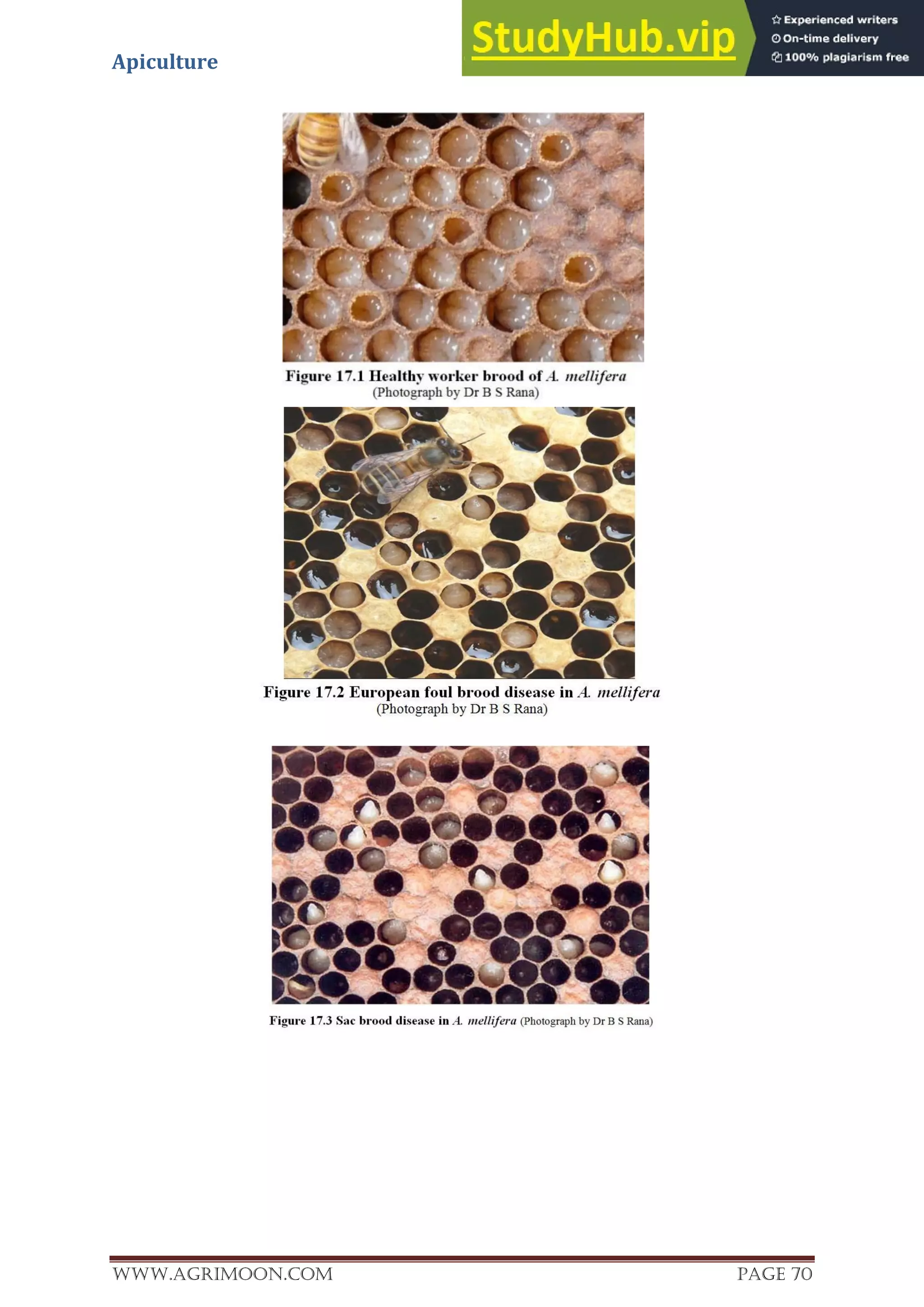 Apiculture
www.Agrimoon.com Page 70
 