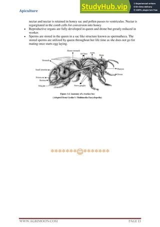 Apiculture
www.Agrimoon.com Page 13
nectar and nectar is retained in honey sac and pollen passes to ventriculus. Nectar is
regurgitated in the comb cells for conversion into honey
 Reproductive organs are fully developed in queen and drone but greatly reduced in
worker.
 Sperms are stored in the queen in a sac like structure known as spermatheca. The
stored sperms are utilized by queen throughout her life time as she does not go for
mating once starts egg laying.
**************
 