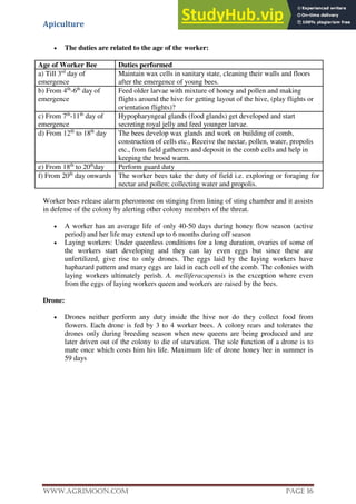 Apiculture
www.Agrimoon.com Page 16
 The duties are related to the age of the worker:
Age of Worker Bee Duties performed
a) Till 3rd
day of
emergence
Maintain wax cells in sanitary state, cleaning their walls and floors
after the emergence of young bees.
b) From 4th
-6th
day of
emergence
Feed older larvae with mixture of honey and pollen and making
flights around the hive for getting layout of the hive, (play flights or
orientation flights)?
c) From 7th
-11th
day of
emergence
Hypopharyngeal glands (food glands) get developed and start
secreting royal jelly and feed younger larvae.
d) From 12th
to 18th
day The bees develop wax glands and work on building of comb,
construction of cells etc., Receive the nectar, pollen, water, propolis
etc., from field gatherers and deposit in the comb cells and help in
keeping the brood warm.
e) From 18th
to 20th
day Perform guard duty
f) From 20th
day onwards The worker bees take the duty of field i.e. exploring or foraging for
nectar and pollen; collecting water and propolis.
Worker bees release alarm pheromone on stinging from lining of sting chamber and it assists
in defense of the colony by alerting other colony members of the threat.
 A worker has an average life of only 40-50 days during honey flow season (active
period) and her life may extend up to 6 months during off season
 Laying workers: Under queenless conditions for a long duration, ovaries of some of
the workers start developing and they can lay even eggs but since these are
unfertilized, give rise to only drones. The eggs laid by the laying workers have
haphazard pattern and many eggs are laid in each cell of the comb. The colonies with
laying workers ultimately perish. A. melliferacapensis is the exception where even
from the eggs of laying workers queen and workers are raised by the bees.
Drone:
 Drones neither perform any duty inside the hive nor do they collect food from
flowers. Each drone is fed by 3 to 4 worker bees. A colony rears and tolerates the
drones only during breeding season when new queens are being produced and are
later driven out of the colony to die of starvation. The sole function of a drone is to
mate once which costs him his life. Maximum life of drone honey bee in summer is
59 days
 