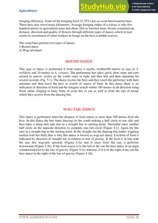 Apiculture
www.Agrimoon.com Page 20
foraging efficiency. Some of the foraging force (5-35%) acts as scout bees/searcher bees.
These bees may travel many kilometers. Average foraging radius of a colony is only few
hundred metres in agricultural areas and about 2km in forested areas. Scouts communicate
distance, direction and quality of flowers through different types of dances which in turn
results in recruitment of other workers to forage on the best available sources.
The scout bees perform two types of dances
i) Round dance
ii) Wag-tail dance
ROUND DANCE
This type of dance is performed if food source is nearby (within100 metres in case of A.
mellifera and 10 metres in A. cerana). The performing bee takes quick short steps and runs
around in narrow circles on the comb; once to right and then left and then repeating for
several seconds (Fig. 5.1). The dance excites the bees and they touch the performer with their
antennae and then leave the hive in search of source of food. In this dance there is no
indication of direction of food and the foragers search within 100 metres in all direction using
floral odour clinging to hairy body of scout bee as cue as well as from the sips of nectar
which they receive from the dancing bee.
WAG-TAIL DANCE
This dance is performed when the distance of food source is more than 100 metres from the
hive. In this dance the bee starts dancing on the comb making a half circle to one side and
then takes a sharp turn and runs in a straight line to starting point. Thereafter takes another
half circle on the opposite direction to complete one full circle (Figure 5.2). Again the bee
runs in a straight line to the starting point. In the straight run the dancing bee makes wiggling
motion with her body that is why this dance is known as wag-tail dance. Location of food is
indicated by direction of straight run in relation to line of gravity. If the food is in line with
the sun, bee wag-tails upwards (Figure 5.3a) and if away from the sun, it performs
downwards (Figure 5.3b). If the food source is to the left of the sun the bees dance at an angle
counterclockwise to the line of gravity (Figure 5.3c) whereas, if it is to the right of the sun the
bees dance to the right of the line of gravity (Figure 5.3d).
 