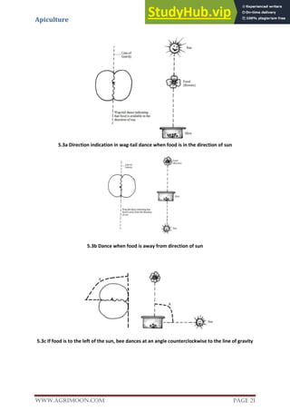 Apiculture
www.Agrimoon.com Page 21
5.3a Direction indication in wag-tail dance when food is in the direction of sun
5.3b Dance when food is away from direction of sun
5.3c If food is to the left of the sun, bee dances at an angle counterclockwise to the line of gravity
 