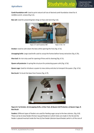 Apiculture
www.Agrimoon.com Page 25
Comb foundation mill: Used to print natural cell size of desired comb foundation sheet for A.
mellifera and A. cerana (Fig. 6.5).
Bee veil: Used for preventing bee stings on face and neck (Fig. 6.6).
Smoker: Used to calm down the bees while opening the hive (Fig. 6.7a).
Uncapping knife: Large sized knife used to uncap the frames before honey extraction (Fig. 6.7b).
Hive tool: An iron strip used for opening of hive and its cleaning (Fig. 6.7c).
Queen cell protector: A spring like structure for protecting queen cells (Fig. 6.7d).
Queen cage: Used to introduce a queen to new colony and also to transport the queen. (Fig. 6.7e).
Bee brush: To brush the bees from frames (Fig. 6.7f).
Figure 6.7 a) Smoker, b) Uncapping Knife, c) Hive Tool, d) Queen Cell Protector, e) Queen Cage, f)
Bee Brush
Feeders: Different types of feeders are used for feeding sugar syrup to the bee colonies. (Fig. 6.8).
These can be (i) slow feeder (friction top pail feeders) in which holes are made in the lid and the
feeder is placed inverted inside the hive (ii) fast feeder (division board feeder) which is of the size of
 