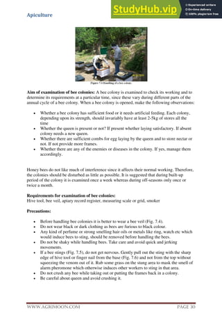 Apiculture
www.Agrimoon.com Page 30
Aim of examination of bee colonies: A bee colony is examined to check its working and to
determine its requirements at a particular time, since these vary during different parts of the
annual cycle of a bee colony. When a bee colony is opened, make the following observations:
 Whether a bee colony has sufficient food or it needs artificial feeding. Each colony,
depending upon its strength, should invariably have at least 2-5kg of stores all the
time
 Whether the queen is present or not? If present whether laying satisfactory. If absent
colony needs a new queen.
 Whether there are sufficient combs for egg laying by the queen and to store nectar or
not. If not provide more frames.
 Whether there are any of the enemies or diseases in the colony. If yes, manage them
accordingly.
Honey bees do not like much of interference since it affects their normal working. Therefore,
the colonies should be disturbed as little as possible. It is suggested that during built-up
period of the colony it is examined once a week whereas during off-seasons only once or
twice a month.
Requirements for examination of bee colonies:
Hive tool, bee veil, apiary record register, measuring scale or grid, smoker
Precautions:
 Before handling bee colonies it is better to wear a bee veil (Fig. 7.4).
 Do not wear black or dark clothing as bees are furious to black colour.
 Any kind of perfume or strong smelling hair oils or metals like ring, watch etc which
would induce bees to sting, should be removed before handling the bees.
 Do not be shaky while handling bees. Take care and avoid quick and jerking
movements.
 If a bee stings (Fig. 7.5), do not get nervous. Gently pull out the sting with the sharp
edge of hive tool or finger nail from the base (Fig. 7.6) and not from the top without
squeezing the venom out of it. Rub some grass on the stung area to mask the smell of
alarm pheromone which otherwise induces other workers to sting in that area.
 Do not crush any bee while taking out or putting the frames back in a colony.
 Be careful about queen and avoid crushing it.
 