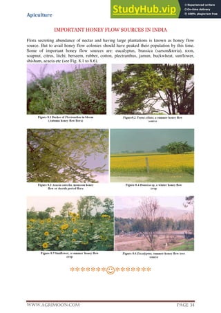 Apiculture
www.Agrimoon.com Page 34
IMPORTANT HONEY FLOW SOURCES IN INDIA
Flora secreting abundance of nectar and having large plantations is known as honey flow
source. But to avail honey flow colonies should have peaked their population by this time.
Some of important honey flow sources are: eucalyptus, brassica (sarson&toria), toon,
soapnut, citrus, litchi, berseem, rubber, cotton, plectranthus, jamun, buckwheat, sunflower,
shisham, acacia etc (see Fig. 8.1 to 8.6).
**************
 