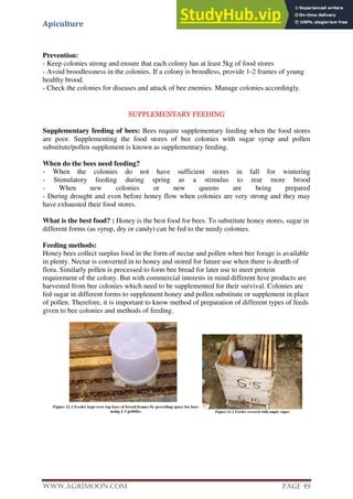 Apiculture
www.Agrimoon.com Page 49
Prevention:
- Keep colonies strong and ensure that each colony has at least 5kg of food stores
- Avoid broodlessness in the colonies. If a colony is broodless, provide 1-2 frames of young
healthy brood.
- Check the colonies for diseases and attack of bee enemies. Manage colonies accordingly.
SUPPLEMENTARY FEEDING
Supplementary feeding of bees: Bees require supplementary feeding when the food stores
are poor. Supplementing the food stores of bee colonies with sugar syrup and pollen
substitute/pollen supplement is known as supplementary feeding.
When do the bees need feeding?
- When the colonies do not have sufficient stores in fall for wintering
- Stimulatory feeding during spring as a stimulus to rear more brood
- When new colonies or new queens are being prepared
- During drought and even before honey flow when colonies are very strong and they may
have exhausted their food stores.
What is the best food? : Honey is the best food for bees. To substitute honey stores, sugar in
different forms (as syrup, dry or candy) can be fed to the needy colonies.
Feeding methods:
Honey bees collect surplus food in the form of nectar and pollen when bee forage is available
in plenty. Nectar is converted in to honey and stored for future use when there is dearth of
flora. Similarly pollen is processed to form bee bread for later use to meet protein
requirement of the colony. But with commercial interests in mind different hive products are
harvested from bee colonies which need to be supplemented for their survival. Colonies are
fed sugar in different forms to supplement honey and pollen substitute or supplement in place
of pollen. Therefore, it is important to know method of preparation of different types of feeds
given to bee colonies and methods of feeding.
 