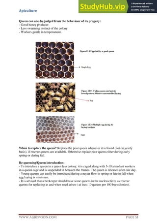 Apiculture
www.Agrimoon.com Page 53
Queen can also be judged from the behaviour of its progeny:
- Good honey producer.
- Less swarming instinct of the colony.
- Workers gentle in temperament.
When to replace the queen? Replace the poor queen whenever it is found (not on yearly
basis), if reserve queens are available. Otherwise replace poor queen either during early
spring or during fall.
Re-queening/Queen introduction:
- To introduce a queen in a queen less colony, it is caged along with 5-10 attendant workers
in a queen cage and is suspended in between the frames. The queen is released after one day.
- Young queens can easily be introduced during a nectar flow in spring or late in fall when
egg laying is minimum.
- It is advised that a beekeeper should have some queens in the nucleus hives as reserve
queens for replacing as and when need arises ( at least 10 queens per 100 bee colonies).
 