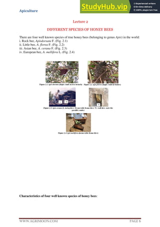 Apiculture
www.Agrimoon.com Page 6
Lecture 2
DIFFERENT SPECIES OF HONEY BEES
There are four well known species of true honey bees (belonging to genus Apis) in the world:
i. Rock bee, Apisdorsata F. (Fig. 2.1)
ii. Little bee, A. florea F. (Fig. 2.2)
iii. Asian bee, A. cerana F. (Fig. 2.3)
iv. European bee, A. mellifera L. (Fig. 2.4)
Characteristics of four well known species of honey bees:
 