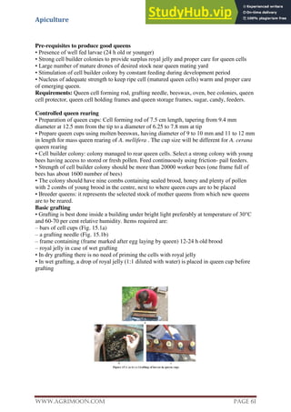 Apiculture
www.Agrimoon.com Page 61
Pre-requisites to produce good queens
• Presence of well fed larvae (24 h old or younger)
• Strong cell builder colonies to provide surplus royal jelly and proper care for queen cells
• Large number of mature drones of desired stock near queen mating yard
• Stimulation of cell builder colony by constant feeding during development period
• Nucleus of adequate strength to keep ripe cell (matured queen cells) warm and proper care
of emerging queen.
Requirements: Queen cell forming rod, grafting needle, beeswax, oven, bee colonies, queen
cell protector, queen cell holding frames and queen storage frames, sugar, candy, feeders.
Controlled queen rearing
• Preparation of queen cups: Cell forming rod of 7.5 cm length, tapering from 9.4 mm
diameter at 12.5 mm from the tip to a diameter of 6.25 to 7.8 mm at tip
• Prepare queen cups using molten beeswax, having diameter of 9 to 10 mm and 11 to 12 mm
in length for mass queen rearing of A. mellifera . The cup size will be different for A. cerana
queen rearing
• Cell builder colony: colony managed to rear queen cells. Select a strong colony with young
bees having access to stored or fresh pollen. Feed continuously using friction- pail feeders.
• Strength of cell builder colony should be more than 20000 worker bees (one frame full of
bees has about 1600 number of bees)
• The colony should have nine combs containing sealed brood, honey and plenty of pollen
with 2 combs of young brood in the centre, next to where queen cups are to be placed
• Breeder queens: it represents the selected stock of mother queens from which new queens
are to be reared.
Basic grafting
• Grafting is best done inside a building under bright light preferably at temperature of 30°C
and 60-70 per cent relative humidity. Items required are:
– bars of cell cups (Fig. 15.1a)
– a grafting needle (Fig. 15.1b)
– frame containing (frame marked after egg laying by queen) 12-24 h old brood
– royal jelly in case of wet grafting
• In dry grafting there is no need of priming the cells with royal jelly
• In wet grafting, a drop of royal jelly (1:1 diluted with water) is placed in queen cup before
grafting
 