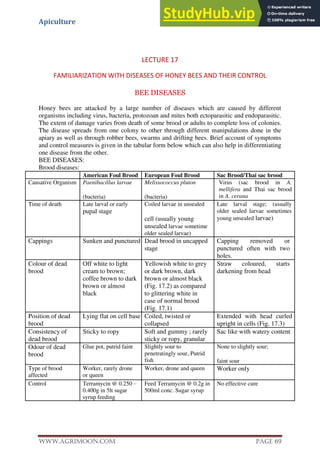 Apiculture
www.Agrimoon.com Page 69
LECTURE 17
FAMILIARIZATION WITH DISEASES OF HONEY BEES AND THEIR CONTROL
BEE DISEASES
Honey bees are attacked by a large number of diseases which are caused by different
organisms including virus, bacteria, protozoan and mites both ectoparasitic and endoparasitic.
The extent of damage varies from death of some brood or adults to complete loss of colonies.
The disease spreads from one colony to other through different manipulations done in the
apiary as well as through robber bees, swarms and drifting bees. Brief account of symptoms
and control measures is given in the tabular form below which can also help in differentiating
one disease from the other.
BEE DISEASES:
Brood diseases:
American Foul Brood European Foul Brood Sac Brood/Thai sac brood
Causative Organism Paenibacillus larvae
(bacteria)
Melissococcus pluton
(bacteria)
Virus (sac brood in A.
mellifera and Thai sac brood
in A. cerana
Time of death Late larval or early
pupal stage
Coiled larvae in unsealed
cell (usually young
unsealed larvae sometime
older sealed larvae)
Late larval stage; (usually
older sealed larvae sometimes
young unsealed larvae)
Cappings Sunken and punctured Dead brood in uncapped
stage
Capping removed or
punctured often with two
holes.
Colour of dead
brood
Off white to light
cream to brown;
coffee brown to dark
brown or almost
black
Yellowish white to grey
or dark brown, dark
brown or almost black
(Fig. 17.2) as compared
to glittering white in
case of normal brood
(Fig. 17.1)
Straw coloured, starts
darkening from head
Position of dead
brood
Lying flat on cell base Coiled, twisted or
collapsed
Extended with head curled
upright in cells (Fig. 17.3)
Consistency of
dead brood
Sticky to ropy Soft and gummy ; rarely
sticky or ropy, granular
Sac like with watery content
Odour of dead
brood
Glue pot, putrid faint Slightly sour to
penetratingly sour, Putrid
fish
None to slightly sour;
faint sour
Type of brood
affected
Worker, rarely drone
or queen
Worker, drone and queen Worker only
Control Terramycin @ 0.250 –
0.400g in 5lt sugar
syrup feeding
Feed Terramycin @ 0.2g in
500ml conc. Sugar syrup
No effective cure
 
