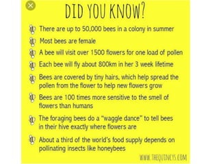 Apiculture-Honey bee rearing It is a art of rearing honey bees.pptx