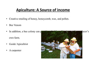 Apiculture-Honey bee rearing It is a art of rearing honey bees.pptx