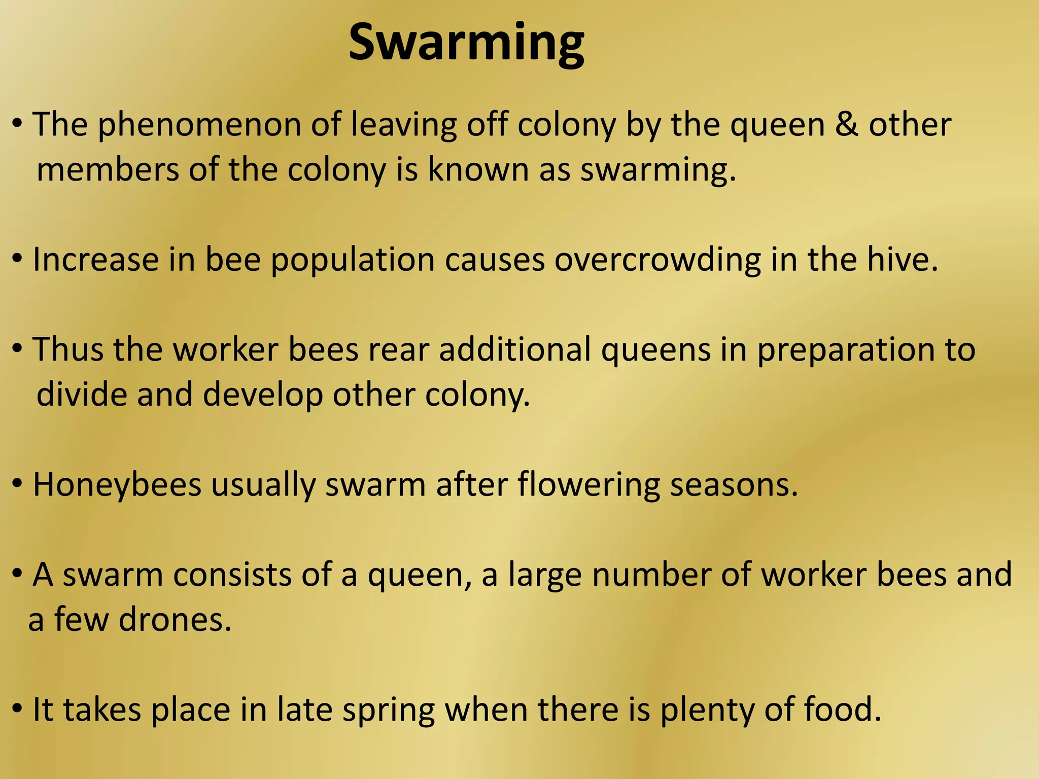 Swarming
• The phenomenon of leaving off colony by the queen & other
members of the colony is known as swarming.
• Increase in bee population causes overcrowding in the hive.
• Thus the worker bees rear additional queens in preparation to
divide and develop other colony.
• Honeybees usually swarm after flowering seasons.
• A swarm consists of a queen, a large number of worker bees and
a few drones.
• It takes place in late spring when there is plenty of food.
 