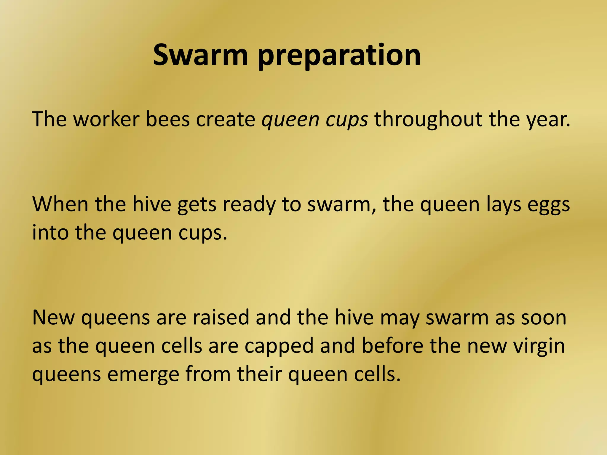 Swarm preparation
The worker bees create queen cups throughout the year.
When the hive gets ready to swarm, the queen lays eggs
into the queen cups.
New queens are raised and the hive may swarm as soon
as the queen cells are capped and before the new virgin
queens emerge from their queen cells.
 