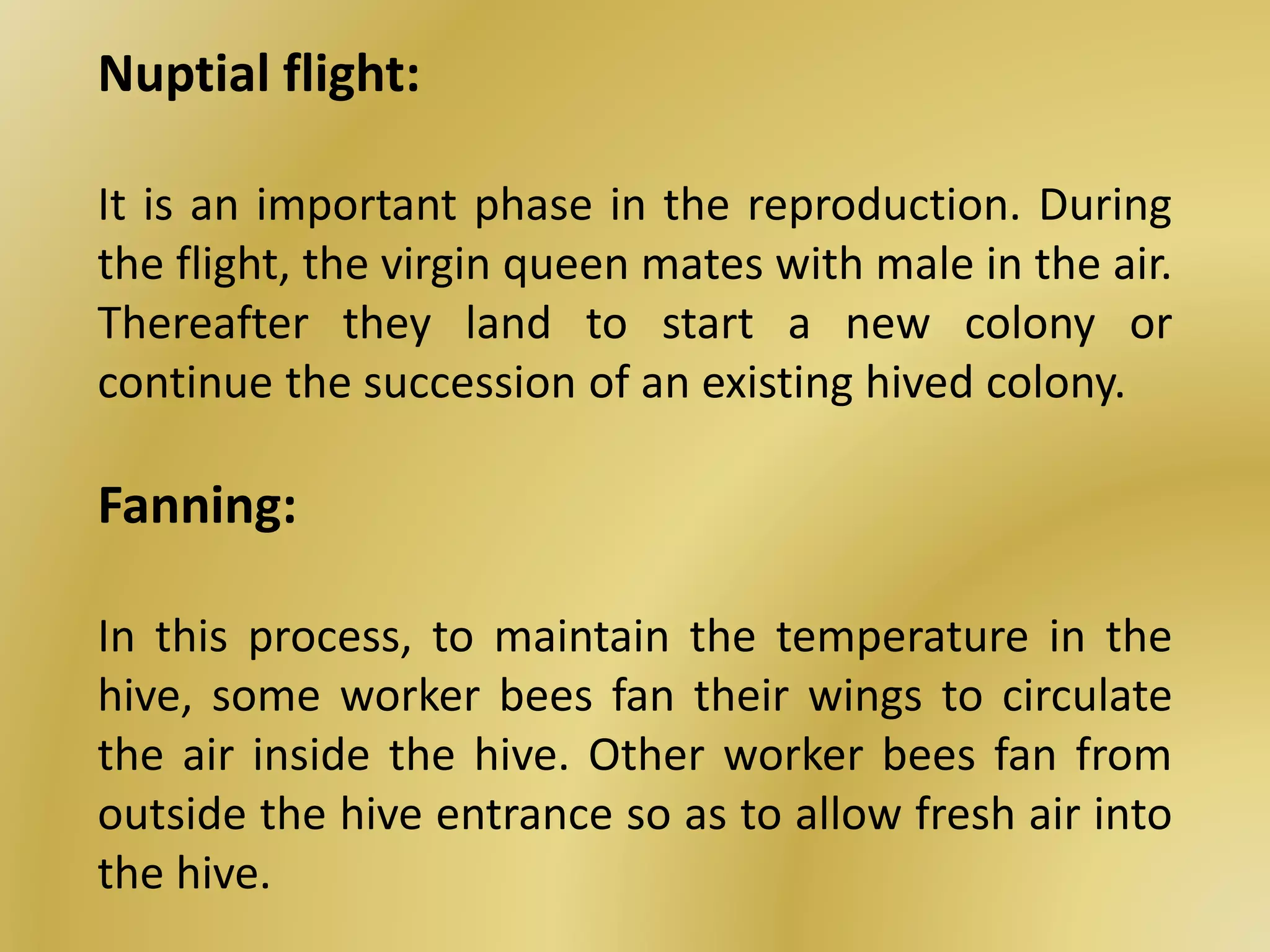 Nuptial flight:
It is an important phase in the reproduction. During
the flight, the virgin queen mates with male in the air.
Thereafter they land to start a new colony or
continue the succession of an existing hived colony.
Fanning:
In this process, to maintain the temperature in the
hive, some worker bees fan their wings to circulate
the air inside the hive. Other worker bees fan from
outside the hive entrance so as to allow fresh air into
the hive.
 