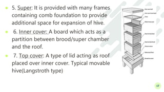 Apiculture (1) | PPTX