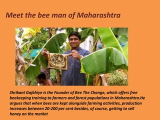 Meet the bee man of Maharashtra
Shrikant Gajbhiye is the Founder of Bee The Change, which offers free
beekeeping training to farmers and forest populations in Maharashtra.He
argues that when bees are kept alongside farming activities, production
increases between 20-200 per cent besides, of course, getting to sell
honey on the market
 