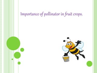Importance of pollinator in fruit crops.
 